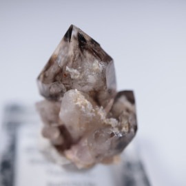 �������ȥ�ꥢ��������徽