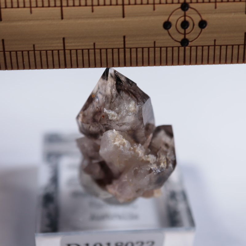 オーストラリア産 モララ水晶 | 鉱物標本,サ行,スモーキークォーツ/煙