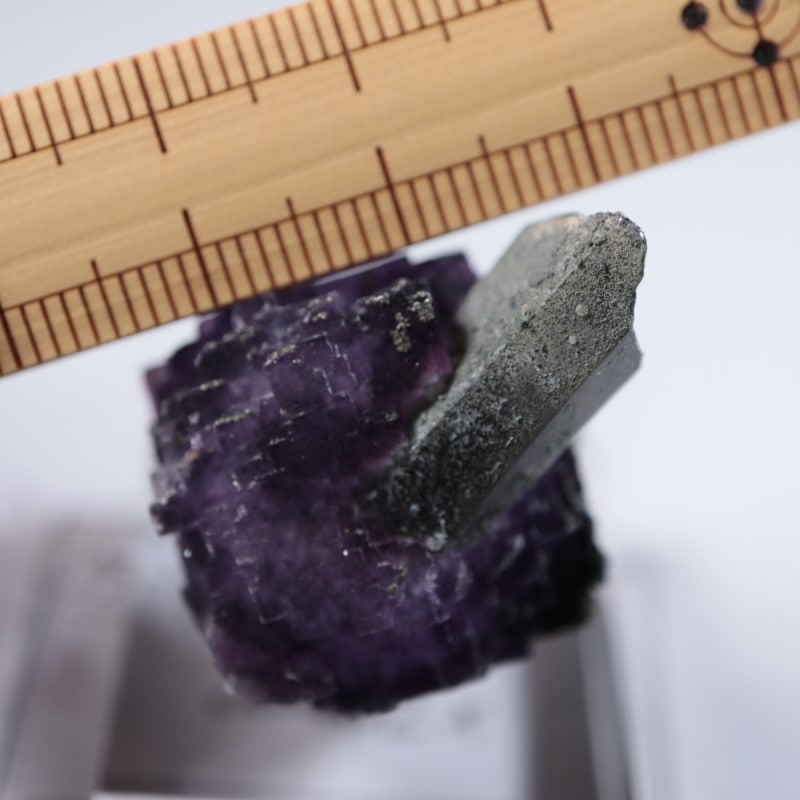 ドイツ産 フローライト、水晶 | 鉱物標本,ハ行,フローライト/蛍石