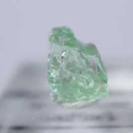 ���󥶥˥������ߥ�ȥ��꡼�󥬡��ͥå�