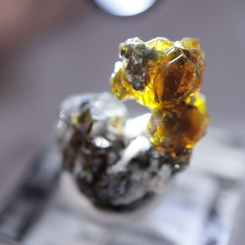 �֥륬�ꥢ�������ե���饤��