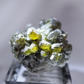 �֥륬�ꥢ�������ե���饤��