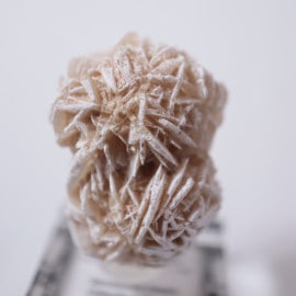 �ǥ����ȥ������ʺ������鯡�