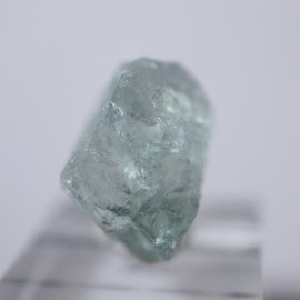 ���󥶥˥�����Ĺ��