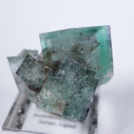 �ե����꡼�ۡ��륺�ݥ��åȡ�����