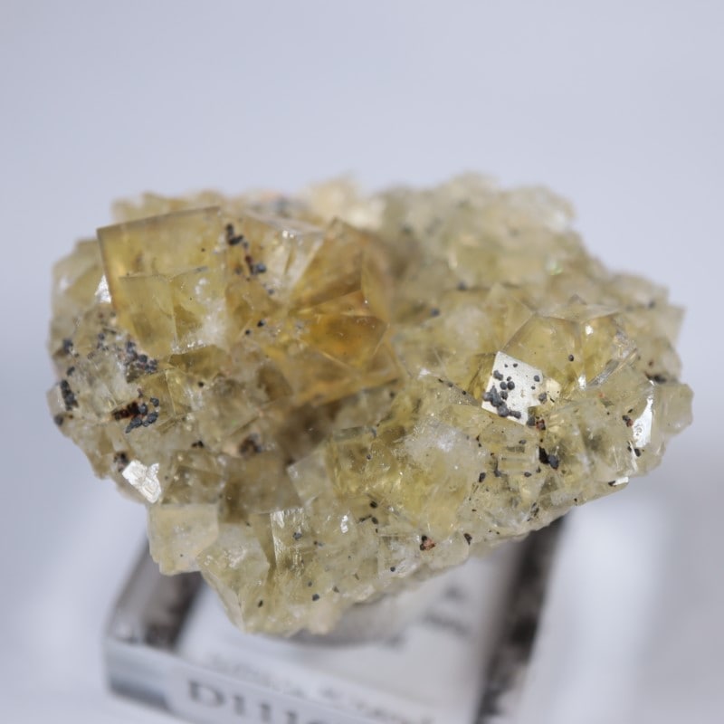 閉山ヒルトン鉱山　フローライト 蛍石　鉱物　鉱物標本 原石 fluorite ヒルトン鉱山 フローライト | 鉱物標本,ハ行,フローライト/蛍石