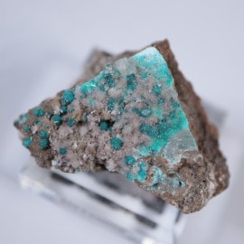 Hedden Treasure Mine�������������ȡ����������륵���ȡ��إߥ��ե�����