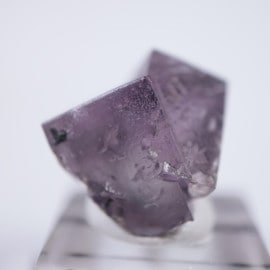 ��ǥ����ʥ٥�ۻ����ե����饤��