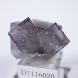 ��ǥ����ʥ٥�ۻ����ե����饤��