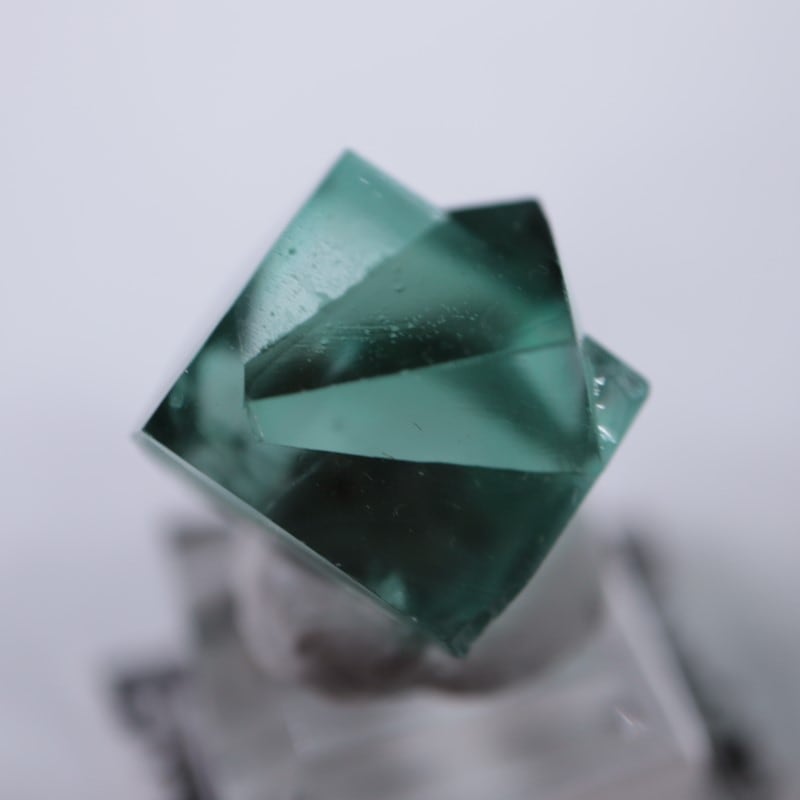 レディアナベラ鉱山 フローライト | 鉱物標本,ハ行,フローライト/蛍石