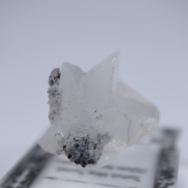 ツメブ鉱山 白鉛鉱（セルサイト） | 鉱物標本,サ行,セルサイト/白鉛鉱  