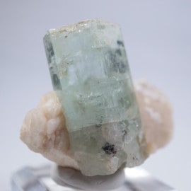 �֥饸�뻺���������ޥ��Ĺ��