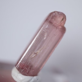 ���󥴻����ȥ�ޥ��