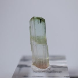 ���󥴻����ȥ�ޥ��