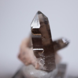 ������ɽ�����徽��Ĺ��