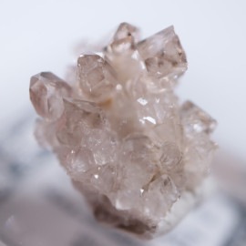 Glenwood������徽