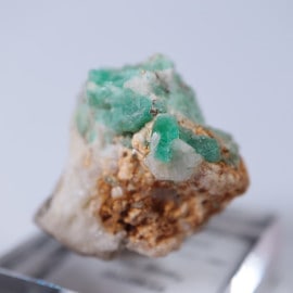 ������ӥ������������