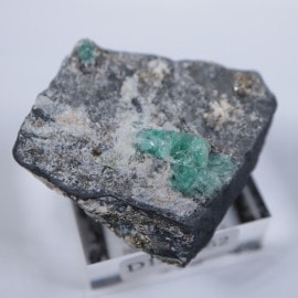 ������ӥ������������