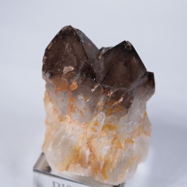 �ե�󥹻�����徽