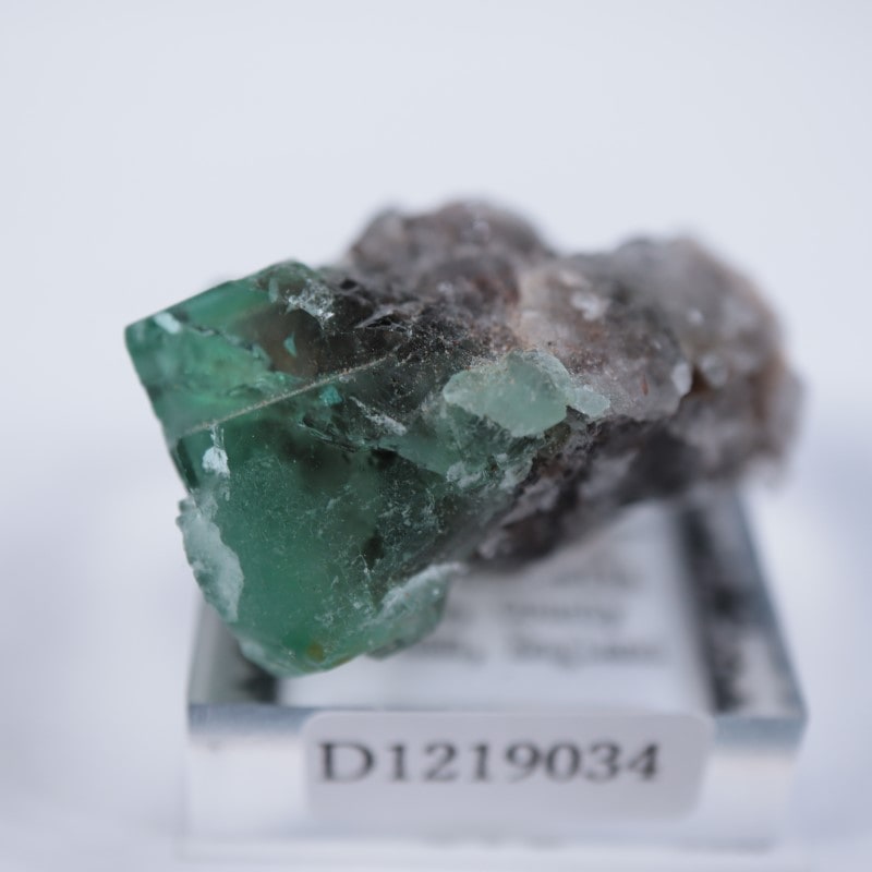 レディアナベラ鉱山 フローライト | 鉱物標本,ハ行,フローライト/蛍石