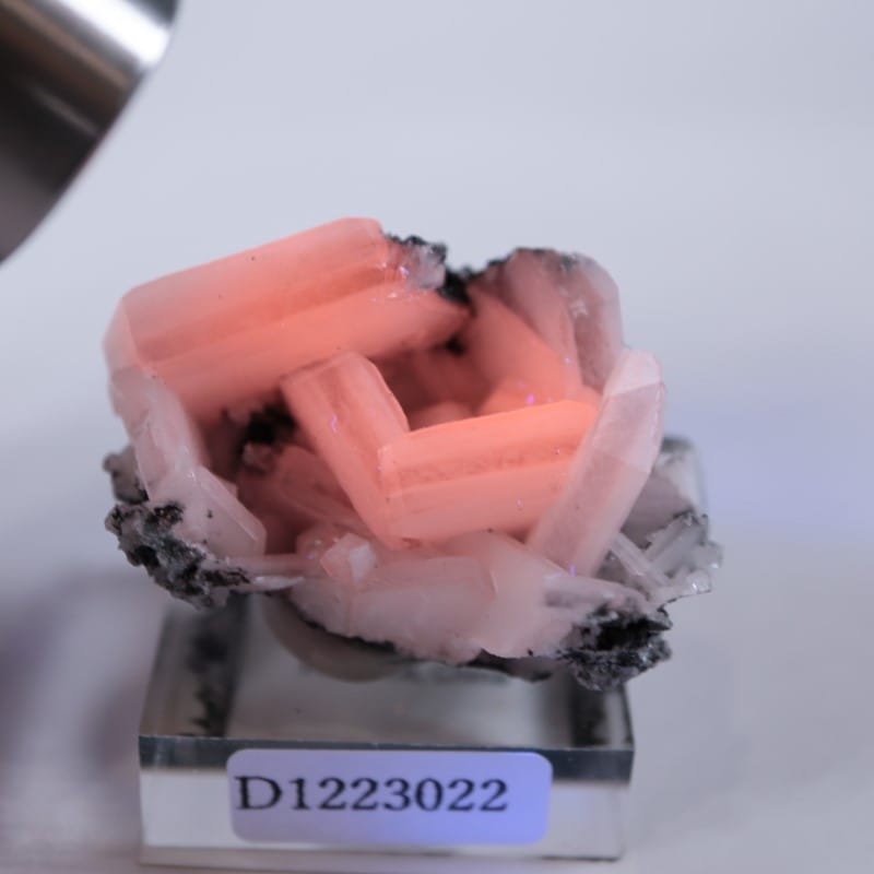 中国産 カルサイト | 鉱物標本,カ行,カルサイト/方解石 | ほたるみねら