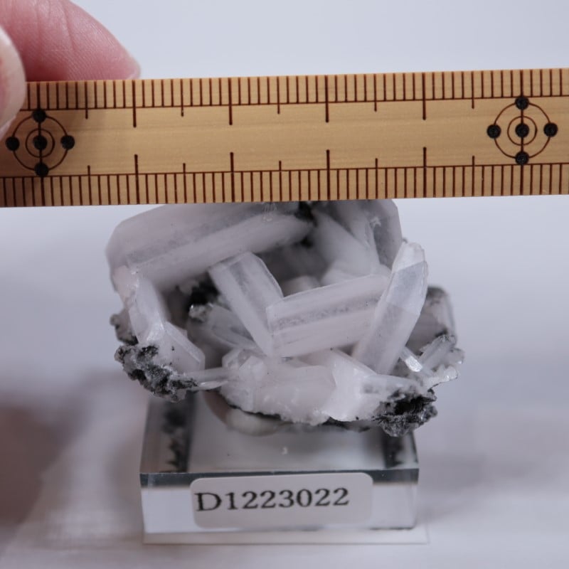 中国産 カルサイト | 鉱物標本,カ行,カルサイト/方解石 | ほたるみねら