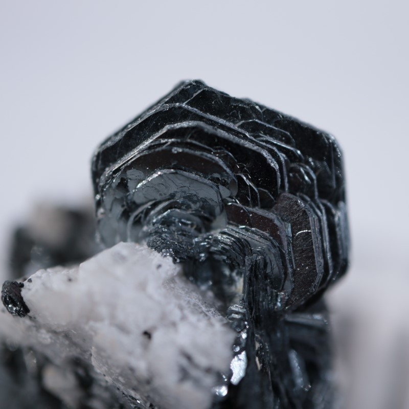 鉱物標本、原石、水晶　ヘマタイトローズ 広東省産 アイアンローズ（ヘマタイト＆水晶）/ Iron Rose