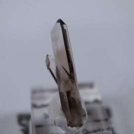 �˥塼�ᥭ����������徽