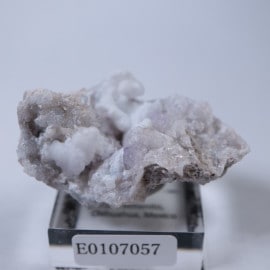 �ᥭ�����������С����륻�ɥˡ�