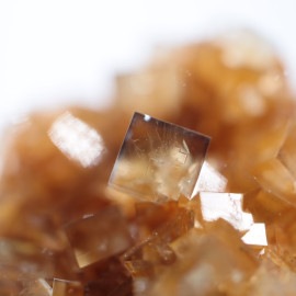 �ҥ�ȥ�ۻ����ե����饤��