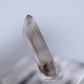 �˥塼�ᥭ����������徽