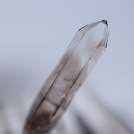 �˥塼�ᥭ����������徽