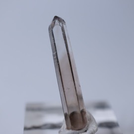 �˥塼�ᥭ����������徽