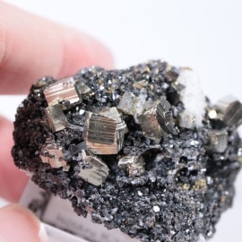 �֥륬�ꥢ�����ѥ��饤��