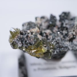 �֥륬�ꥢ�������ե���饤��