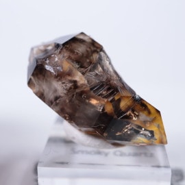 �������ȥ�ꥢ��������徽