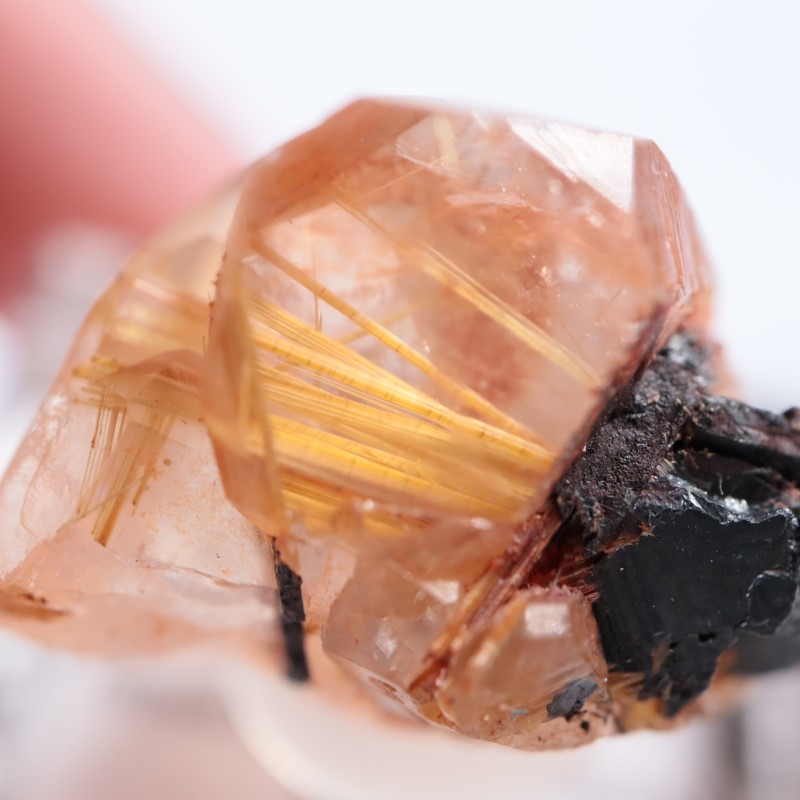 ブラジル産 ルチルインクォーツ | 鉱物標本,カ行,クォーツ/水晶