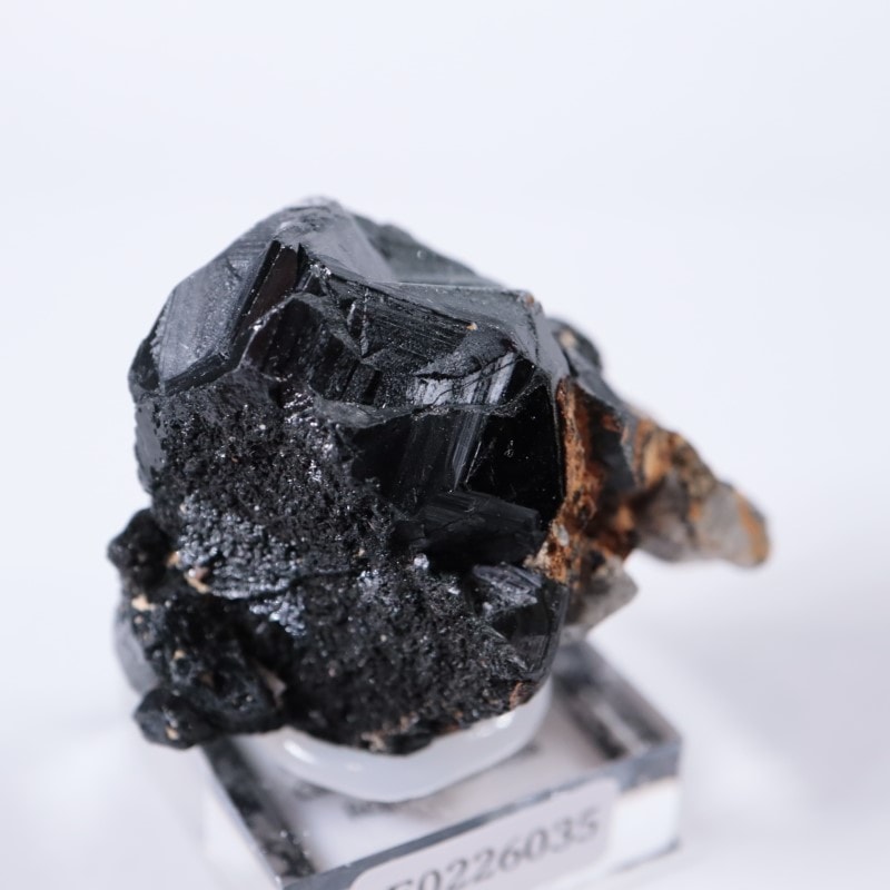 ブラックトルマリン 532g エロンゴ鉱山 ブラックトルマリン（ショール） | 鉱物標本,タ行