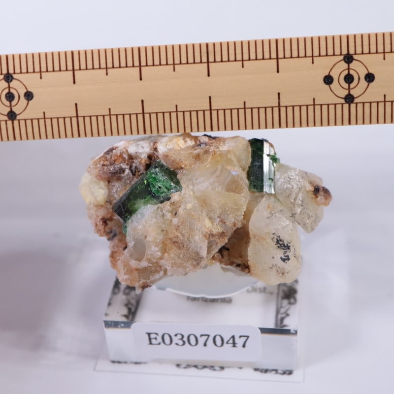 タンザニア産 ドラバイトトルマリン | 鉱物標本,タ行,トルマリン