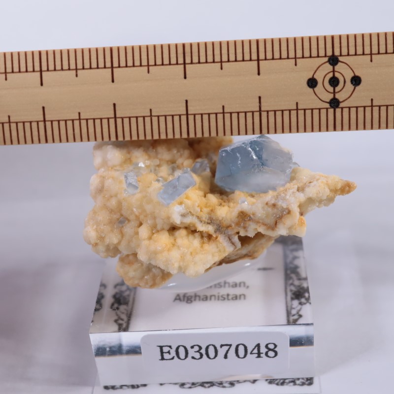 アフガニスタン産 天青石（セレスティン） | 鉱物標本,サ行