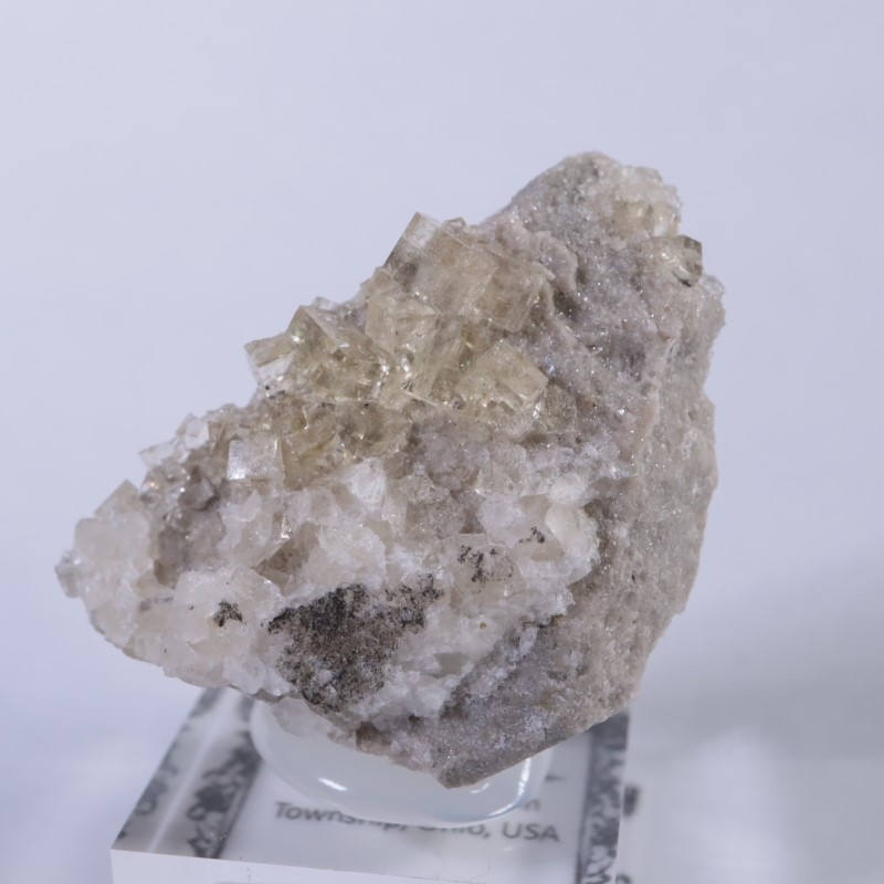 オハイオ州 フローライト | 鉱物標本,ハ行,フローライト/蛍石,フロー