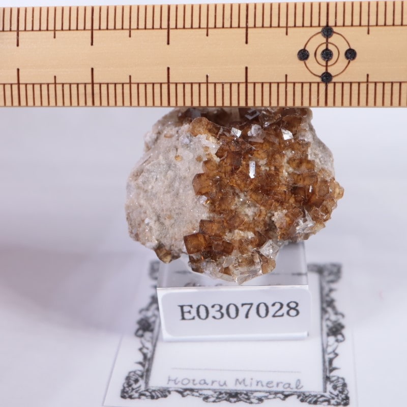 フローライト オハイオ産 鉱物標本 オハイオ州 フローライト | 鉱物標本,ハ行,フローライト/蛍石