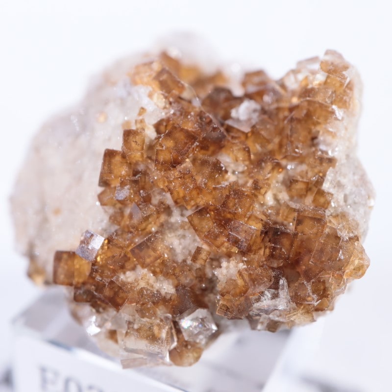 オハイオ州 フローライト | 鉱物標本,ハ行,フローライト/蛍石,フロー