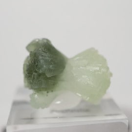 ����å������ץ�ʥ���