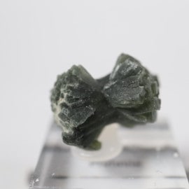 ����å������ץ�ʥ���