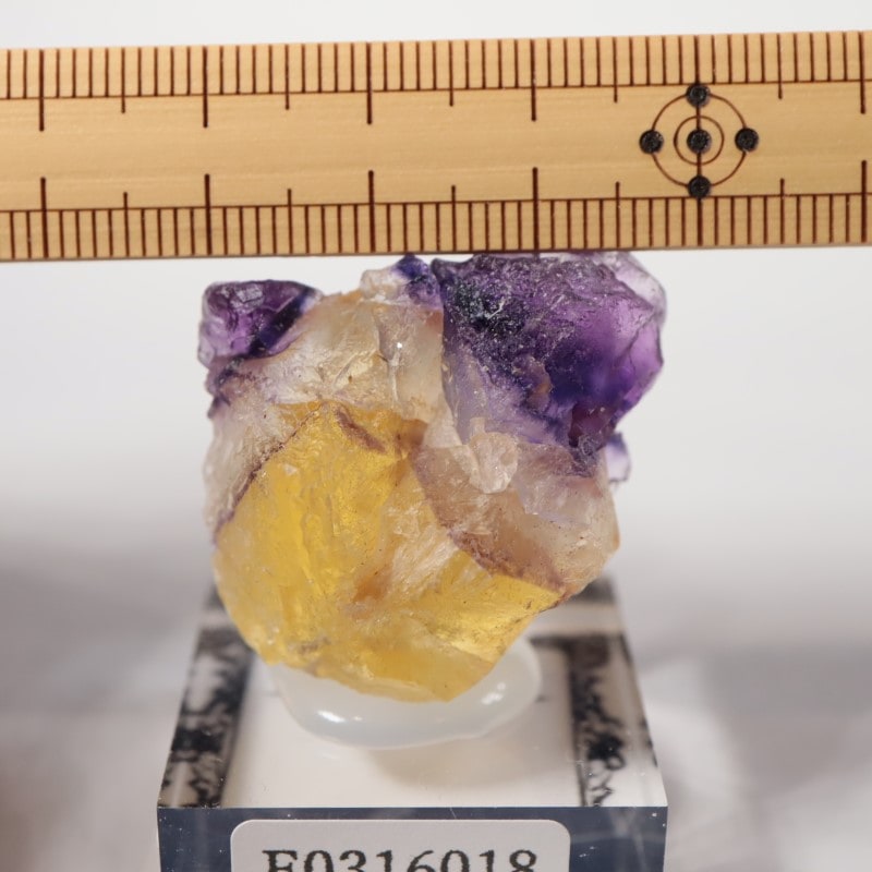 イリノイ州 フローライト | 鉱物標本,ハ行,フローライト/蛍石,フロー