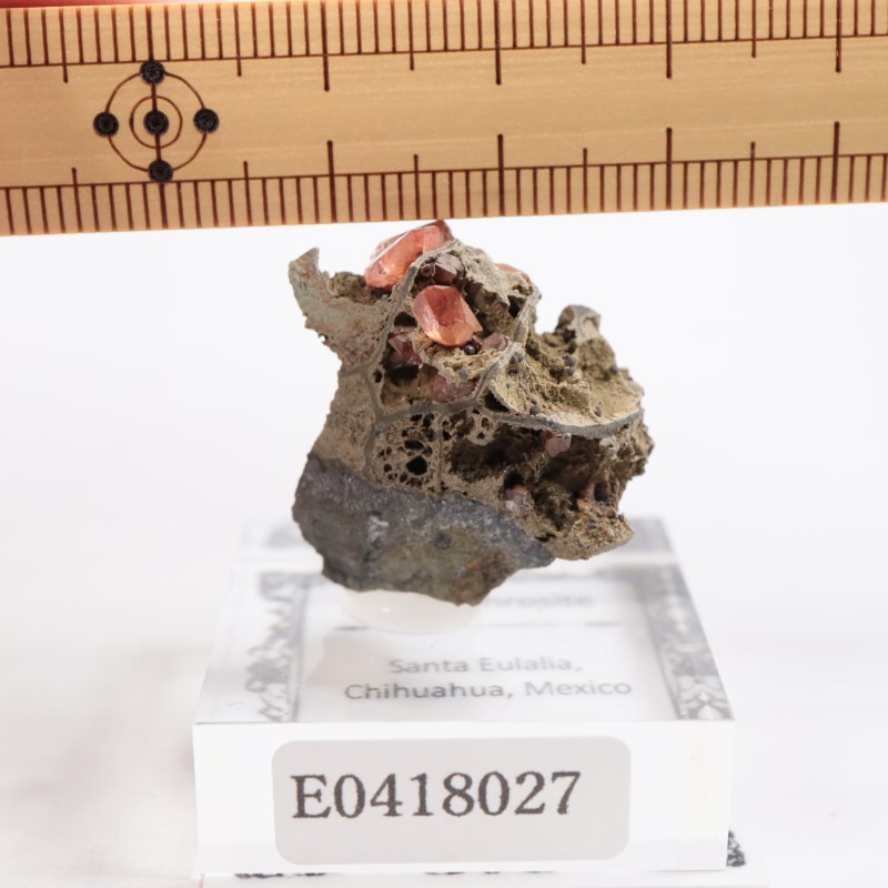 鉱物標本、原石、ロードクロサイト、メキシコ メキシコ産 ロードクロサイト | 鉱物標本,ラ行,ロードクロサイト