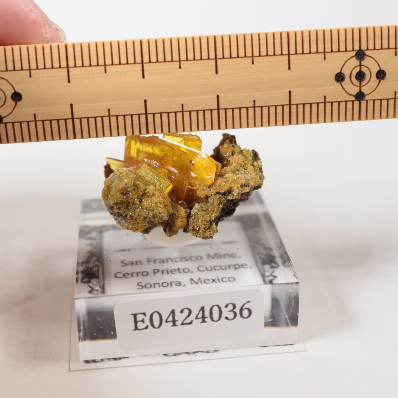 サンフランシスコ鉱山 ウルフェナイト | 鉱物標本,ア行,ウルフェナイト