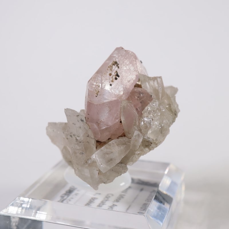 ボリビア産 アパタイト、水晶 | 鉱物標本,ア行,アパタイト/燐灰石