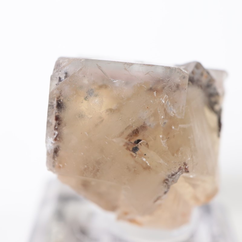 The Bull Vein フローライト | 鉱物標本,ハ行,フローライト/蛍石